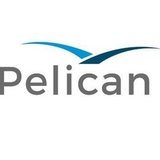 Pelican Digital Payments Hub